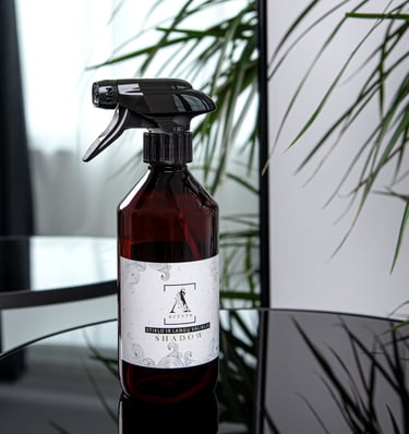 Stiklo ir Langų valiklis