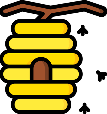 a beehive with yellow color wild honey