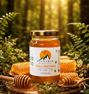 Jar of pure Nilgiris mountain honey with honeycombs and wooden dippers in a sunlit forest.