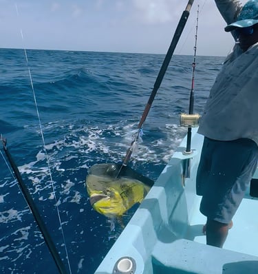 a man holding a fishing rod and fishing rod