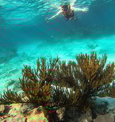 a person swimming in the ocean with a red life jacket