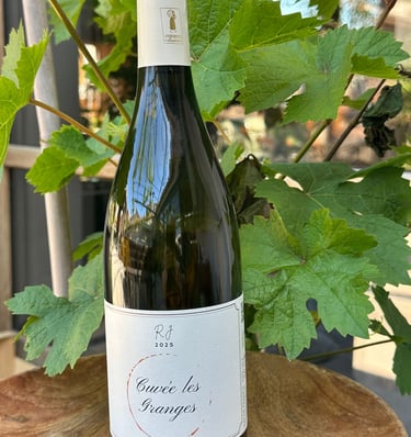 Photo of a grape vine behind a green wine bottle featuring the RJ Pinet Wines logo on a label for the Cuvee les Granges wine