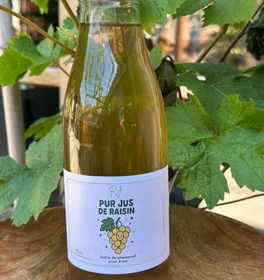 Photo of a grape vine behind a clear glass bottle featuring the RJ Pinet Wines logo on a label for the Pur Jus de Raisin