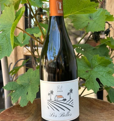 Photo of a grape vine behind a green wine bottle featuring the RJ Pinet Wines logo on a label for the Les Belles wine
