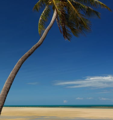 10169852 © Paul Hampton | Dreamstime.com