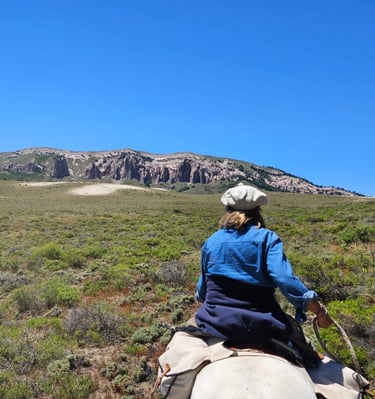 A person on horseback in a wide, open landscape with distant mountains.