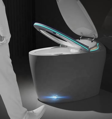 Automatic Sensor Smart Toilet