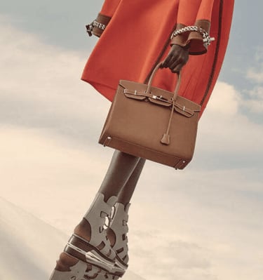 Sophisticated Hermès Birkin bag held by a model in a minimalist outdoor setting.