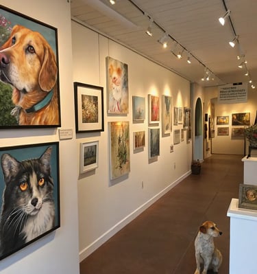 a gallery with dogs and cats