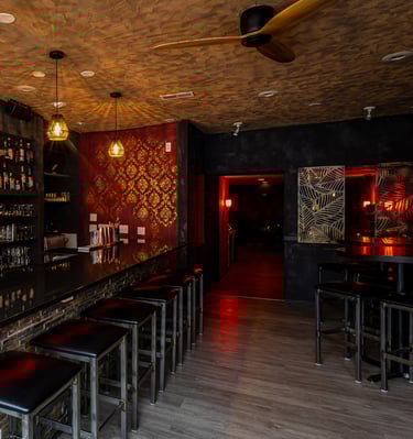 Botanero - Bar - Cocktail Lounge - Best Tacos Chicago - Upscale Lounge