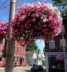 Street baskets in Beacon, NY