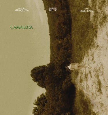 Camaleo