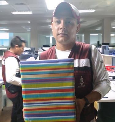 guardia de seguridad 3