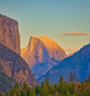 Scenic view of Half Dome in Yosemite National Park glowing at sunset above a lush pine forest.