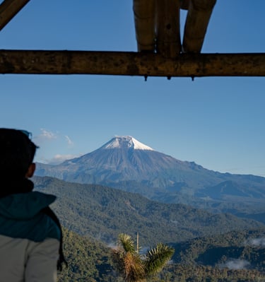 a person standing in front of a mountain
