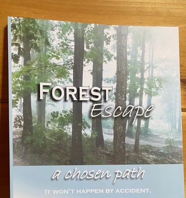 Forest Escape a chosen path book