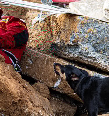 Ringarooma S'nyx en sauvetage décombres