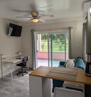 living area with TV and work desk