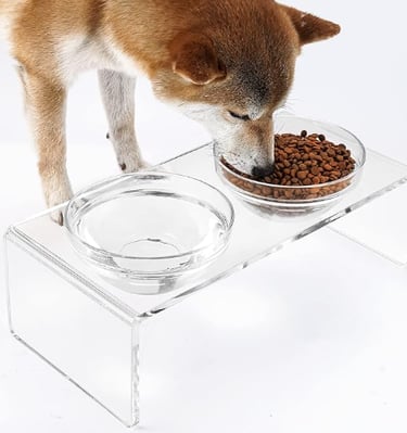 Elevated pet feeder with two glass bowls and two stainless steel bowls, non‑toxic and easy to clean