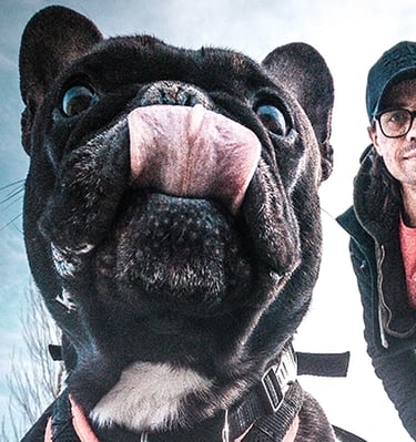 Foto von einem grosen Kopf einer schwarzen französischen Bulldogge mit einem Mann mit Brille