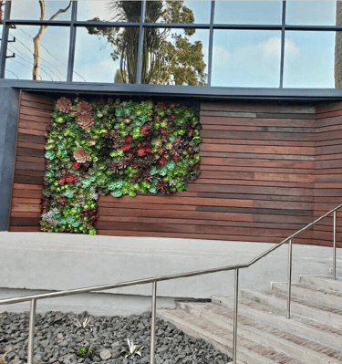 a building with a wall of plants on the side of it
