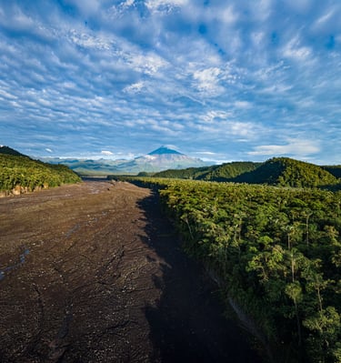 a dirt road with a dirt road and mountains in the background