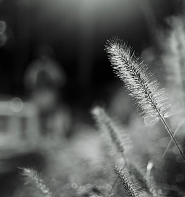 a person standing in front of a fence