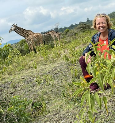 Wandersafari im Arusha-Nationalpark – hautnah mit Giraffen unterwegs.