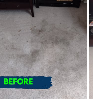Image of Refresh Property Services after a carpet cleaning in san antonio, TX. 