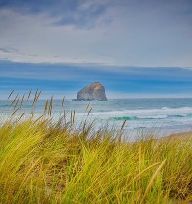Golden beach grass dunes overlooking Haystack Rock and Pacific Ocean waves at Cannon Beach, Oregon.