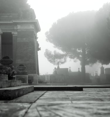 a person sitting on a bench in a park