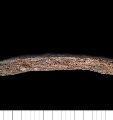 EMW - Early medieval ware (Norwich)