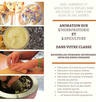 Animation chez vous