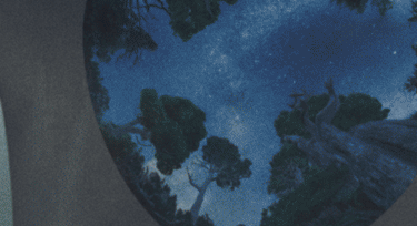 Featuring a stunning night sky design paired with Shakespeare’s iconic quote from Hamlet.