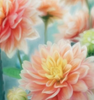 digital painting of pastel flowers