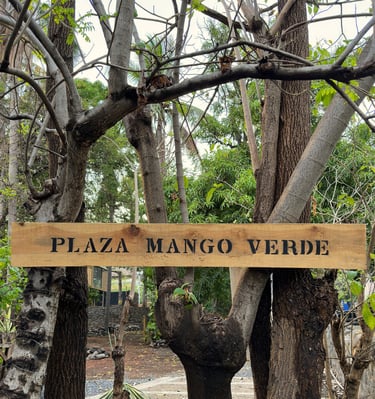 plaza mango verde sign