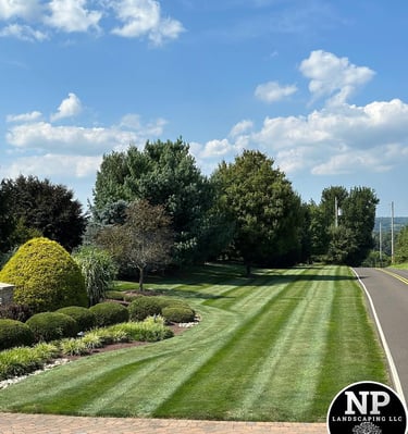 excellent landscaping and hardscaping of grass, stones and trees by NP Landscaping