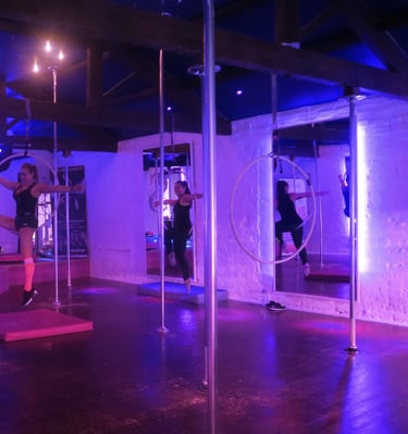Sxefit aerial hoops