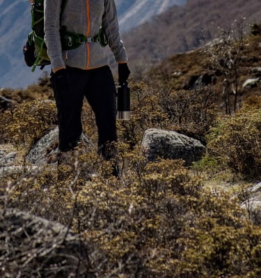 trekking in Nepal, langtang, langtang valley, Himalayas 
