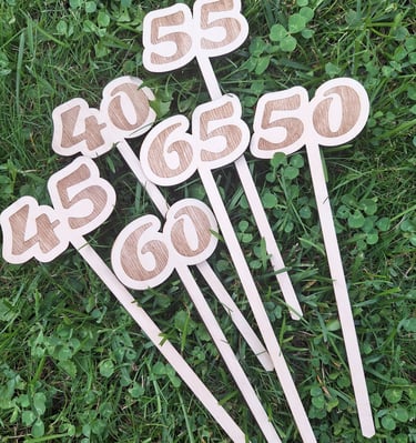 Mediniai įvairių rūšių smeigtukai. Panevėžys