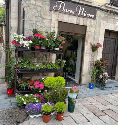 This ancient town boasts historic sites and beautiful buildings. Walkable and clean