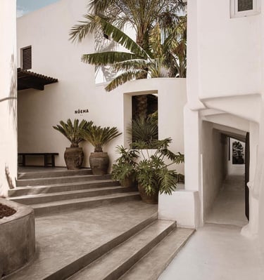 a building with a bunch of potted plants in it