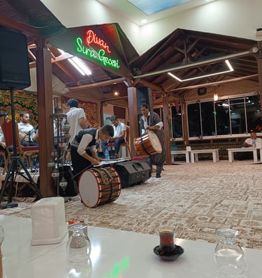 Urfa Divan Sıra Gecesi