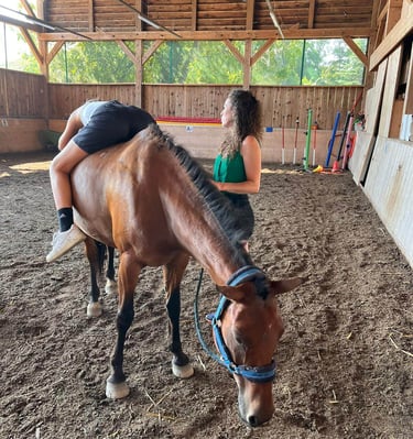 prise en charge individuelle adulte