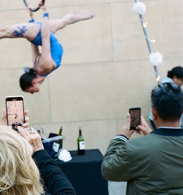 Laure Avon soars for Aerialogists as event guests take video memories from the Egyptian Theatre