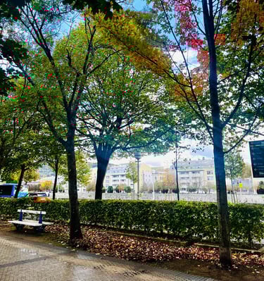 centro de adicciones donostia