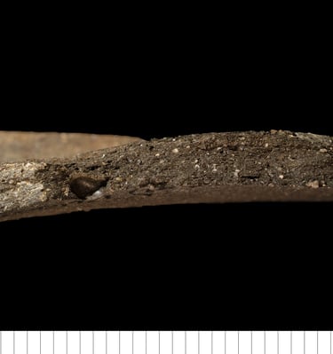 EMWM - Early medieval ware micaceous