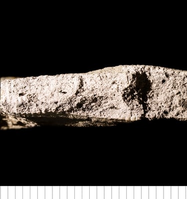 THETS - Sudbury Thetford-type ware