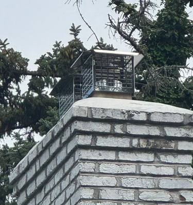A newly installed stainless steel chimney cap and repaired crown on a painted brick chimney, providing weather and animal pro