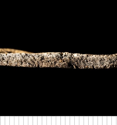 EMW - Early medieval ware (Suffolk types)